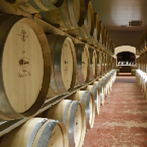 Cave viticole avec fûts de chêne pour le vieillissement.